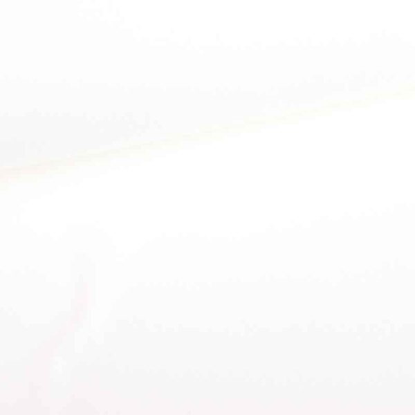 Tissu fleece deluxe blanc