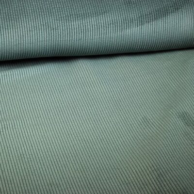 Tissu corduroy vert foncé