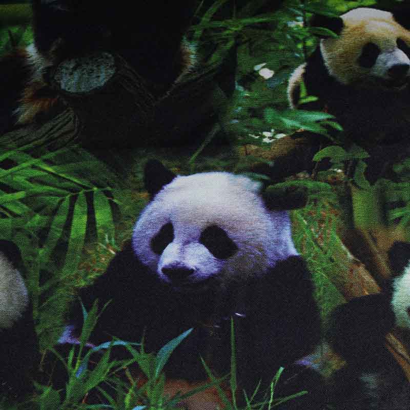 Tissu Terlenka panda impression numérique