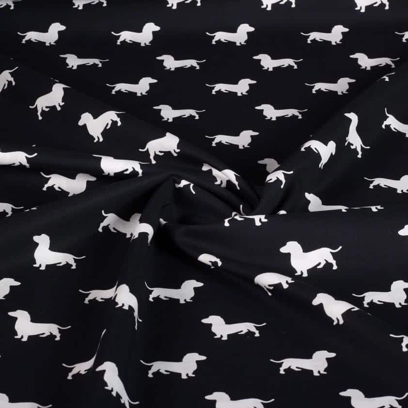 Tissu coton teckel