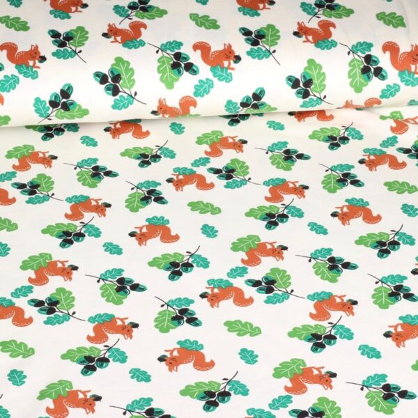 Tissu tricot écureuil